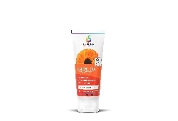 CALENDULA